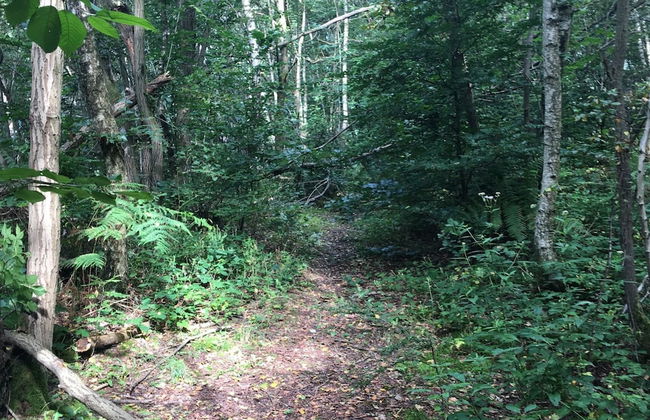 Bungalow With View Near Coo - Photo 26