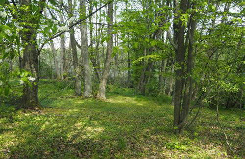 Beniaskie! Lake Lodge in West Masuria - Foto 23