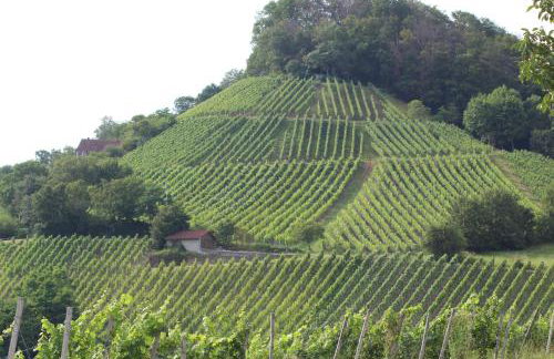 Ferienwohnung Forellenhof - Foto 27