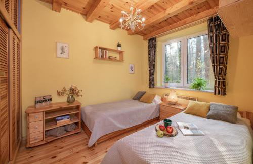 Masuria Warsaw Family - dom na wyłączność - w lesie i przy rzece - 15 min od Warszawy - idealny dla rodzin z dziećmi - Foto 32