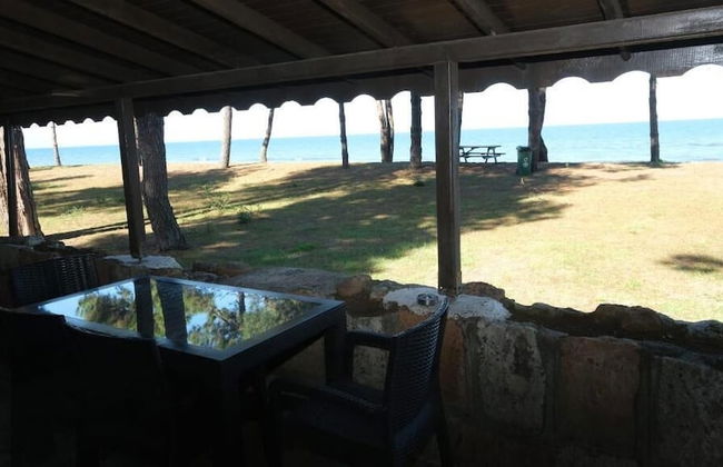 ÇINARSUYU TABİAT PARKI BUNGALOV - Foto 10