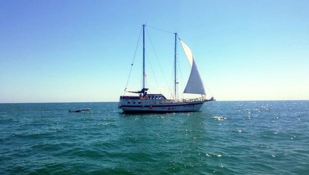 Superb Black Sea Yacht Picnic - Photo 2