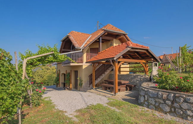 Vineyard Cottage Brodaric - Foto 16