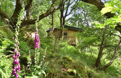 Down House - Photo 4