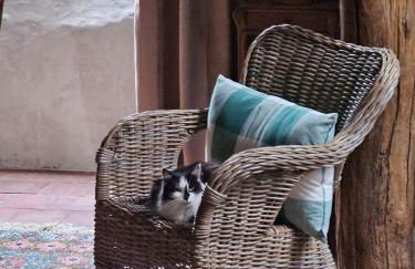 Perched Nest in Cevennes Mountains, relaxing place - Photo 60