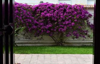 Casa Bedda - Foto 28