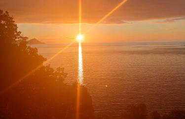 Les Asphodèles - Foto 68