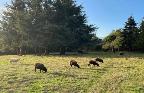 Les Hauts de Locmiquel apartment with private heated pool - Photo 49