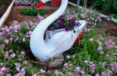 EVIA RIVIERA - Photo 59