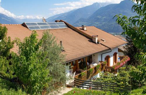 Apartment Ida - Obermösslhof - Photo 21