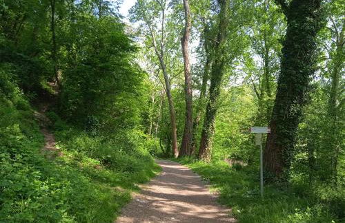 Appartamento seminterrato Villa Sveva Franciacorta - Foto 63