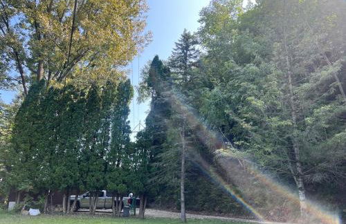 Bosco Bluff Cottage - Foto 44