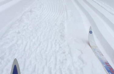 Dornröschen-Loft - Photo 27