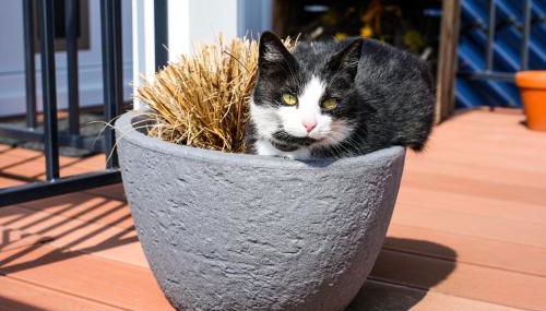 Haus Jaeschke - Foto 2