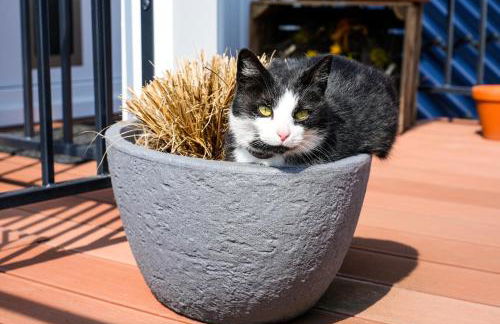 Haus Jaeschke - Foto 2