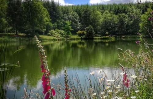 Maison du petit Poète - Foto 22