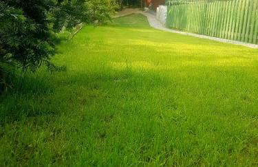 Alpakowy raj - Foto 56