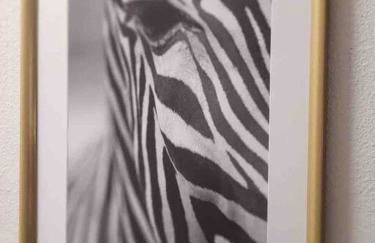 LOCATION! Apartment in Coconut Grove with parking - Foto 31