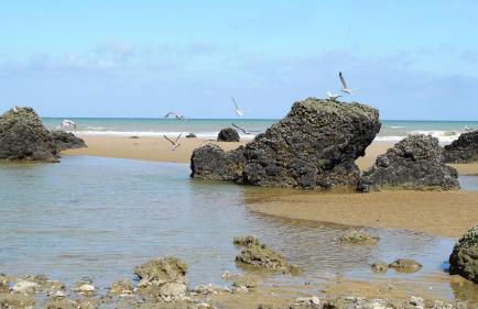 Plazza front de Mer - Photo 30