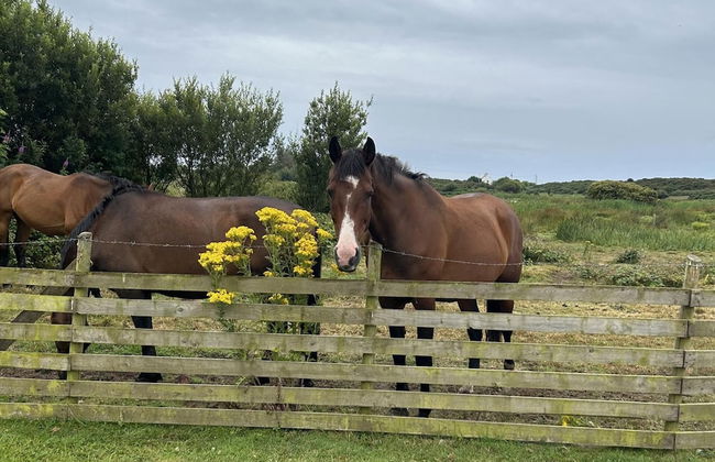 Country Retreat Sleeps 2 Near Cymyran Beach - Foto 22