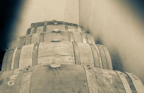 Bio Agriturismo Poggio Aione - Foto 39