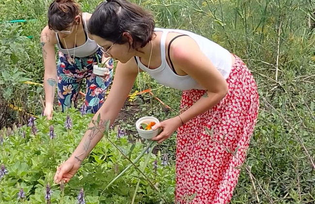 Séance d'aromathérapie et de méditation au domaine Tierra Activa - Photo 8