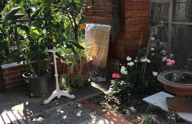 Unser Studio-Apartment "Wohlfühloase" - Foto 37