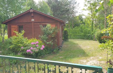 domki domek na jeziorem Wilczyńskim Budzisławskim , las, osobno ogrodzony 2-6 osób- klimatyzacja, ogrzewanie, 62-550 Zygmuntowo gm Wilczyn - Foto 17