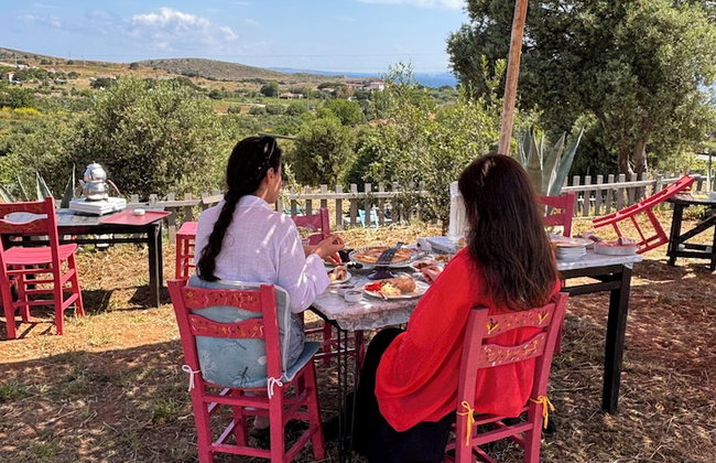 Zeus kır evi - Foto 65