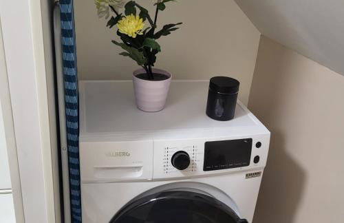 La myssaline - Foto 2