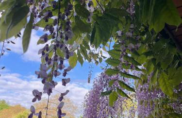 Frankenberg-am-Wald Frankenberg an der Eder - Foto 58