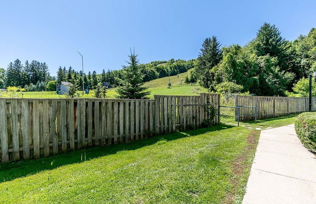 Slope-side Studio Bliss Ski-in Ski-out, Renovated At Blue, Hot Tub, Fast Wi-fi - Foto 28