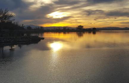 Casa delle Rondini - Photo 28