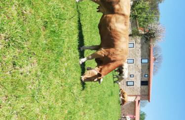 Hosteria Calixtino - Foto 21