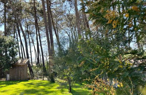 Villa Sophie - Foto 23