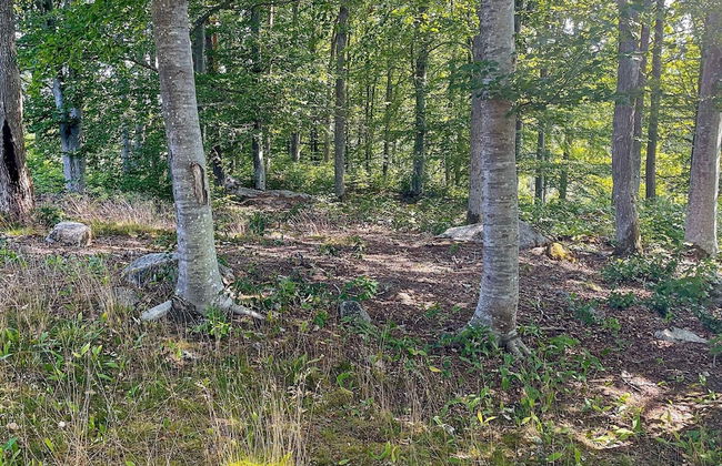 4 Person Holiday Home in Orsjo-by Traum - Foto 28