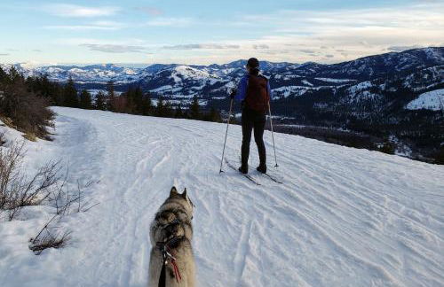 An Unexpected Twisp - Foto 13