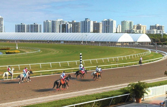 Gorgeous Spot in Hallandale Beach With Pool!! - Foto 33