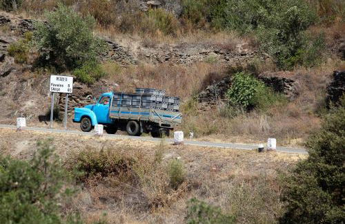 QUINTA DA FAÍSCA - Agro Turismo - Foto 35