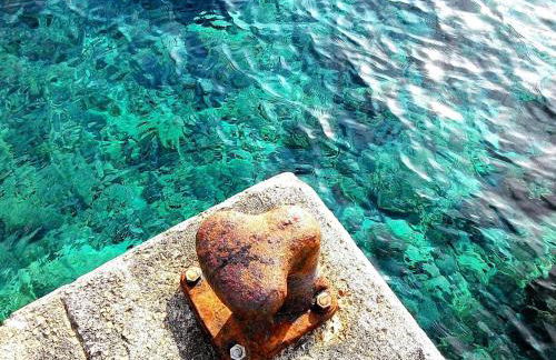 Can montis - Photo 25