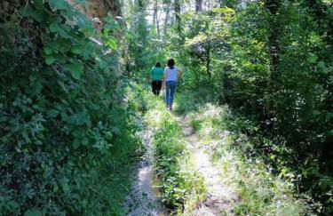 La Casirria - Foto 42