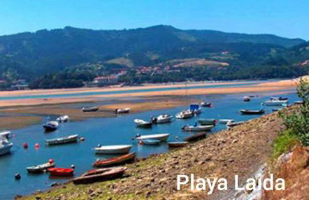 Monzubi Etxi - Foto 44