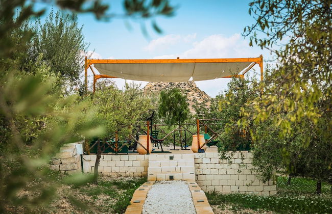 Tenuta Olive Alive - Foto 58