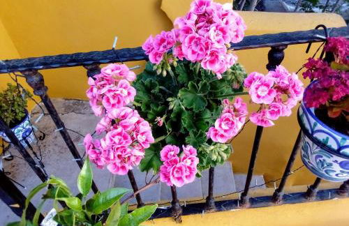 Vista Terraza Illora - Foto 26