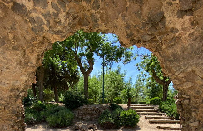 Visita guidata del circo romano di Toledo - Foto 3