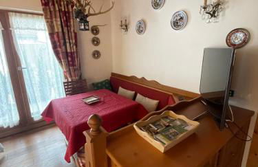 Luxury panoramic apartment Plan de Corones - Photo 8