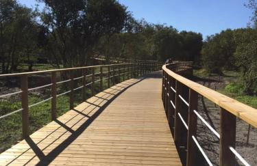 Beach and Mountain Paradise - Foto 26