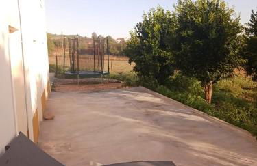 Casa dos pássaros - Foto 36