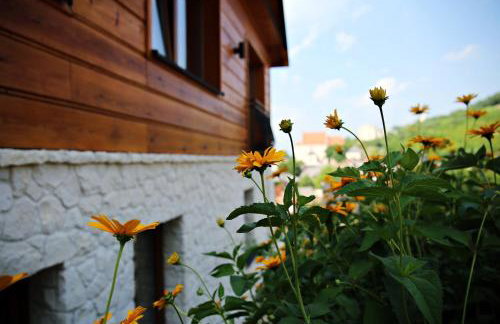 Sielsko-Anielsko centrum - Foto 6