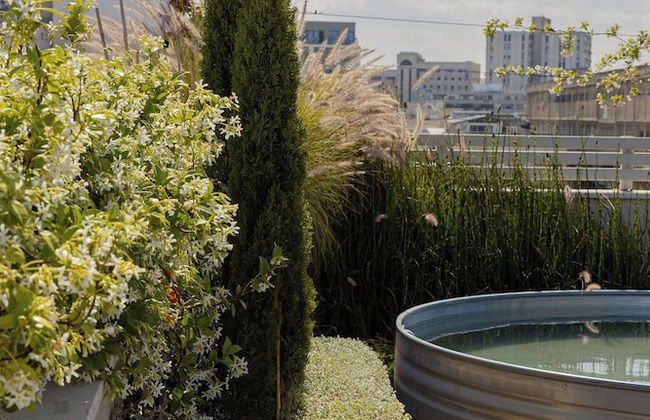 Terasa TLV - Foto 24